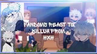 Fandoms React To Each Other  28  Killua  HxH  Gacha [upl. by Auoy]