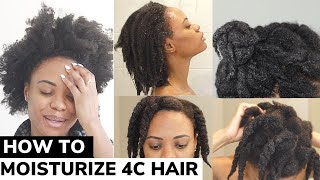 The ONLY Video You Need on How to Moisturize DRY 4C Natural Hair  DETAILED TUTORIAL 🙌🏽 💦 [upl. by Abisha]