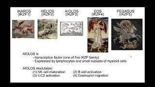 Kentaro Yomogida The transcription factor Aiolos restrains the activation of intestinal [upl. by Acira850]