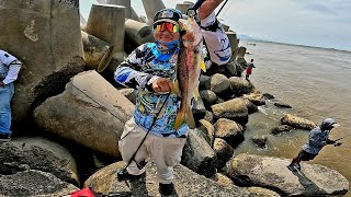 Pesca de ROBALOS en compañía de los amigos  Pesca en Coatzacoalcos Veracruz [upl. by Normalie]