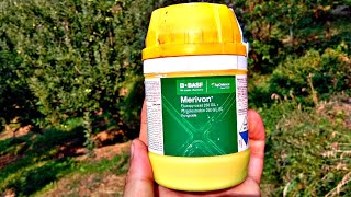 Merivon Fungicide  BASF [upl. by Afaw]