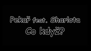 Pekař feat Sharlota  Co když  TEXT  Pavel Kozler [upl. by Gonta876]