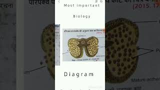 Most Important Biology Diagram Class 12th shorts viralvideo [upl. by Monjo]