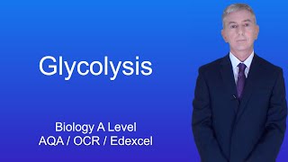 A Level Biology Revision quotGlycolysisquot [upl. by Kedezihclem360]