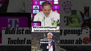 quotDidi ist nicht wichtig genugquot Tuchel watscht Hamann ab 🤬 shorts [upl. by Zola550]