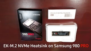 EK M2 NVMe Black Heatsink with Samsung 980 PRO [upl. by Grussing30]