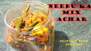 Instant Nimbu Adrak Mirchi ka Mix Achar recipe in hindi नींबू का चटपटा अचार [upl. by Ernestus807]