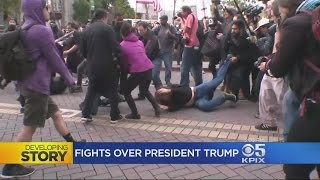 Violent Clashes Break Out At ProTrump Rally At Berkeley Park [upl. by Adnoek988]