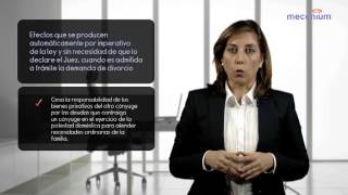 Divorcio ¿Qué es y cuáles son sus consecuencias [upl. by Hoban]