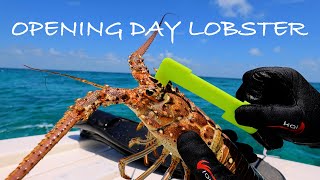 Florida Keys LOBSTER Catch Clean Cook HIBACHI [upl. by Llehcal]