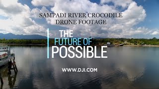 Live video footage of wild crocodiles at Sampadi Ferry River [upl. by Hayila]