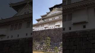 The Symbol of Japan History from 1583  Osaka Castle [upl. by Adlemy]