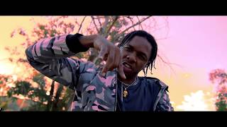 Soundgod amp Runtown amp Nasty C  No Permission Official Video [upl. by Godfree]