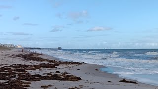 Live Webcam View  Cocoa Beach Pier [upl. by Dunning]