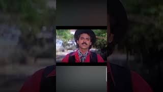 Taqdeerwala movie short videos youtubeshorts trendingshorts viralshorts [upl. by Lamprey965]