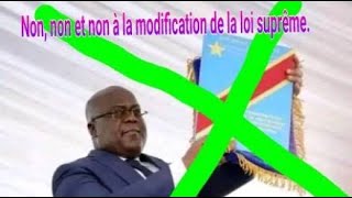 Debat Congolais UDPS  PAPY TAMBA sur la revision constitutionelle [upl. by Atikim]