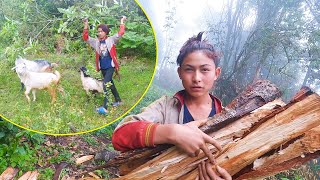 Adhiraj Cutting dry firewood II Herding goat in Jungle NepalManjitamrnati [upl. by Aridaj]