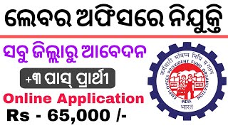 Labour Office Recruitment 2024  Salary  65000  PM  Odisha Latest Job Update  Check Details [upl. by Vicky337]