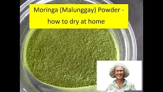 Moringa Malunggay powder  how to dry at home [upl. by Noremak]