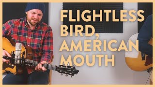 Flightless Bird American Mouth Iron amp Wine  Patrick Lawrence Cover [upl. by Fulmer]