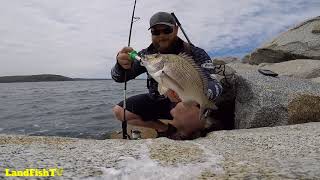 Landbased fishing Batemans Bay NSW [upl. by Gilud]