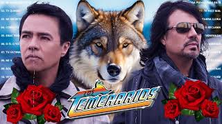 Los Temerarios Viejitas Románticas 💝 Románticas Del Ayer 💝 Mejores Canciones Inolvidables [upl. by Sibbie]