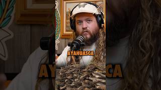 Did the Watchers teach humans how to make Ayahuasca  ninjasarebutterflies podcast ￼￼ [upl. by Atirak]