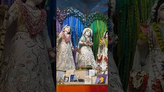 Divine joyous darshan of Sri Sri Radha Madhava on the day of appearance of Sri Chitra Sakhi [upl. by Dey796]