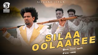 Mogoro Jifar Oromo Music SILAA OOLAAREE [upl. by Cowden18]