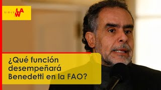 Armando Benedetti nuevo embajador ante la FAO ¿qué función desempeñará [upl. by Everest788]