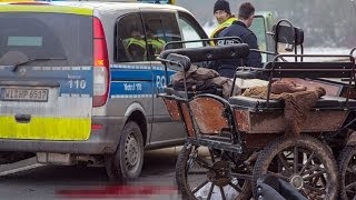 Battenberg Zwei Pferde bei Verkehrsunfall auf der B 253 getötet [upl. by Venable380]