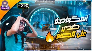 تربون سولو سكواد الأبطال،و جمال الانترو الجديد🔥❤️ [upl. by Nishi]