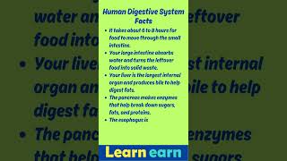 Human Digestive System Facts human digestion quiz facts [upl. by Assirak]