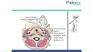 USG Guided Stellate Ganglion Block [upl. by Aran]