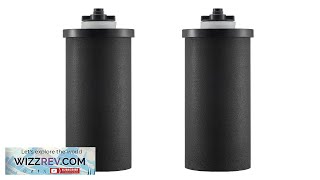 VEVOR Purification Water Filter Replacement for Gravity Filter System 2 Review [upl. by Yelsel312]