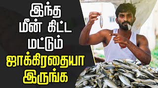 formalin fish  ரசாயனம் கலந்த மீன்கள்  formalin fish in Tamil  How to buy fish  fresh fish [upl. by Tlok557]