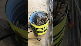 Cant Beelive it Tin Can Magic DIY BeeInspired Insect Hotel diy foryou shorts nature howto [upl. by Tobey]