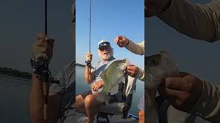 Casa Blanca crappie and Willie aka Kenny Rogers crappie texas kennyrogers [upl. by Adihsar]