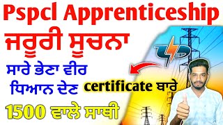 Pspcl Apprenticeship Very important Information 2024  pspcl apprenticeship new update 2024  pspcl [upl. by Malcah709]