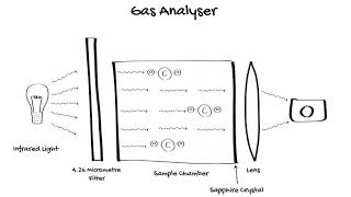 How does Waveform Capnography work [upl. by Jat]