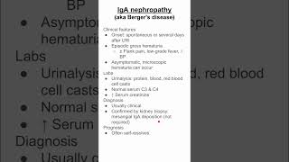 IgA nephropathy aka Bergers disease [upl. by Asilrahc]