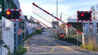 Teynham Level Crossing Kent [upl. by Eugor88]