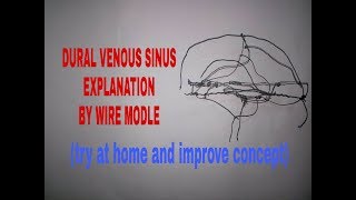 Venous sinuses of dura mater in 20 min on tips  TCML [upl. by Cott54]