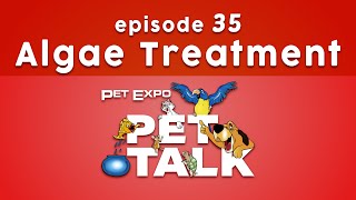 Pet Talk  Episode 35 [upl. by Cottle]