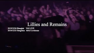 Lillies and Remains in China December 2019 [upl. by Aniuqaoj]