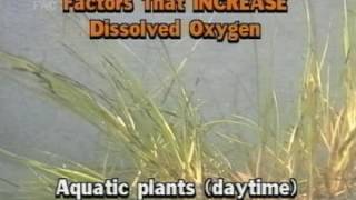 Factors that Increase Dissolved Oxygen In Water [upl. by Notsreik]