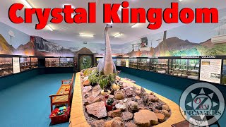 The Biggest Fossil collection in THE WORLD  Crystal Kingdom [upl. by Chak]