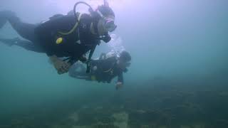 Dive with Helen in Sharp Island  香港潛水  橋咀島  Hong Kong Diving  西貢潛點  潛水船  潛意識Dive Concept [upl. by Melantha]