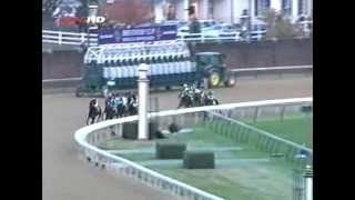 2006 Breeders Cup Classic  Invasor  Post Race [upl. by Notnirt153]