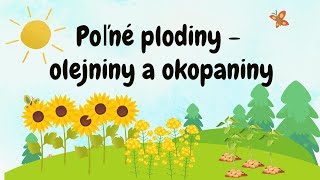 Biológia 5 ročník  Poľné plodiny  olejniny a okopaniny [upl. by Aenaj]